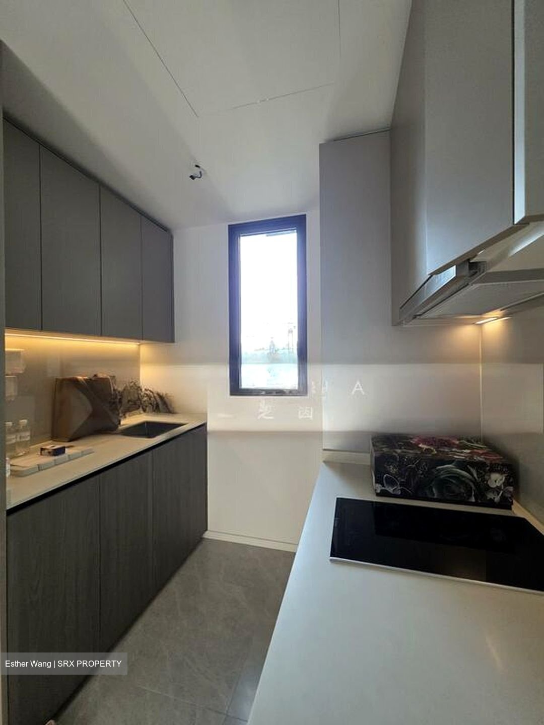 Piccadilly Grand (D8), Apartment #502100771